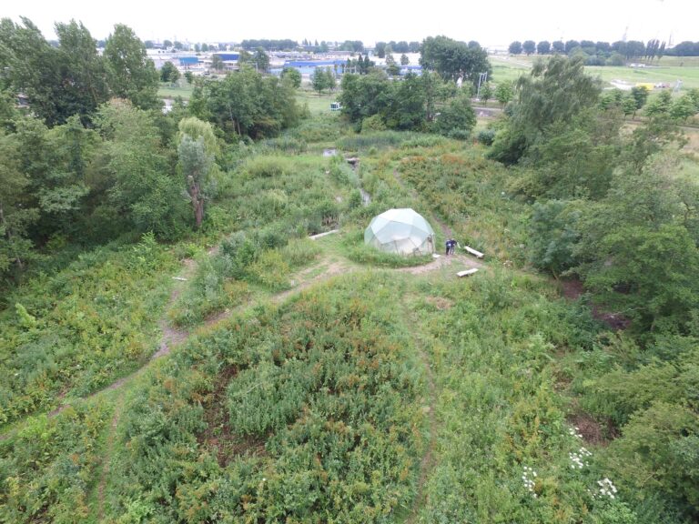 Voedselbos Vlaardingen