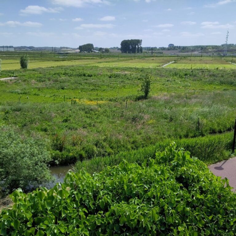 Voedselbos Schiebroekse Polder