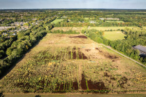 Voedselbos Vierhoeven
