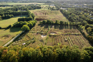 Voedselbos Vierhoeven