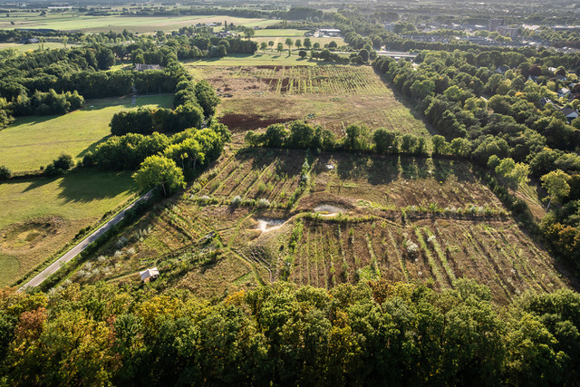 Voedselbos Vierhoeven