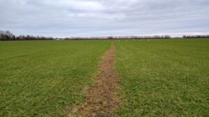 IMG_20210120_130445299_HDR-edited-scaled