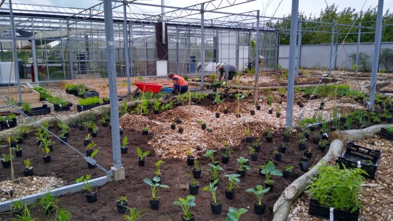 Ommuurde tuin, Stellendam