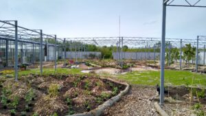 IMG_20210523_171733636_HDR-scaled