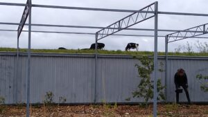 IMG_20210524_111526202-scaled