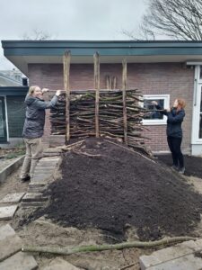 IMG_20220128_152400_1-1536x2048