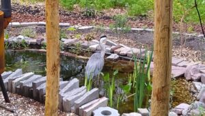 IMG_20220601_114804119-2048x1152