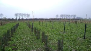 IMG_20241214_140419033