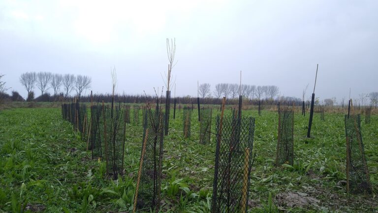 Agrarisch Voedselbos BI-JOVIRA