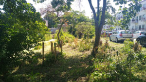 IMG_20250618_132501155