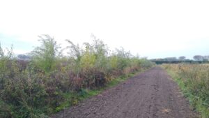 Kopie van IMG_20251016_115225076