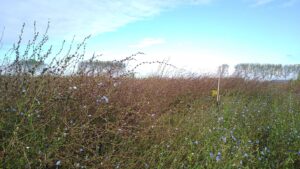 Kopie van IMG_20251016_115922510