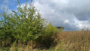 Kopie van IMG_20251016_123704441