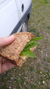 Kopie van IMG_20251016_134824755