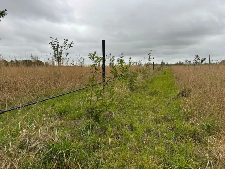 Agrarisch Voedselbos Lust en Last