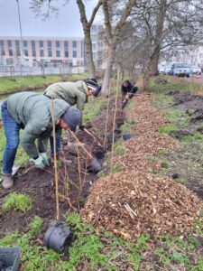 Voedselbos Moerwijk6