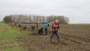 bi_jovira_3.-detail-1