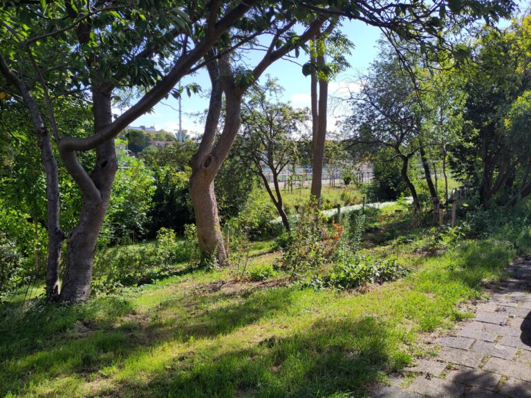 Eetbaar talud, Sara Burgerhartweg Den Haag