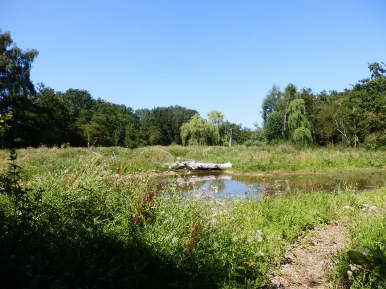 vlaardingen-voedselbos